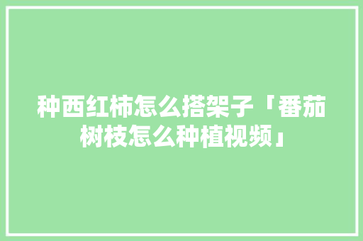 种西红柿怎么搭架子「番茄树枝怎么种植视频」 种西红柿怎么搭架子「番茄树枝怎么种植视频」 番茄病虫害防治