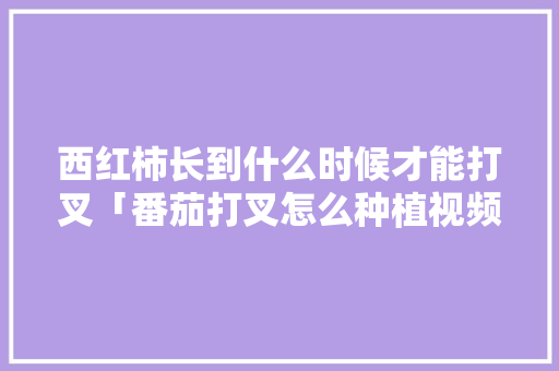 西红柿长到什么时候才能打叉「番茄打叉怎么种植视频」 西红柿长到什么时候才能打叉「番茄打叉怎么种植视频」 土壤施肥
