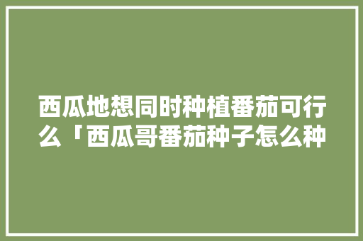 西瓜地想同时种植番茄可行么「西瓜哥番茄种子怎么种植的」 西瓜地想同时种植番茄可行么「西瓜哥番茄种子怎么种植的」 土壤施肥