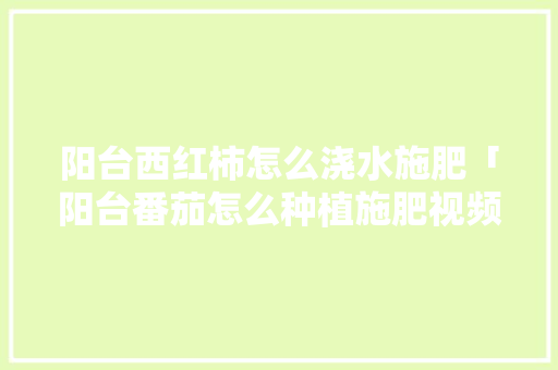 阳台西红柿怎么浇水施肥「阳台番茄怎么种植施肥视频」 阳台西红柿怎么浇水施肥「阳台番茄怎么种植施肥视频」 种植技巧