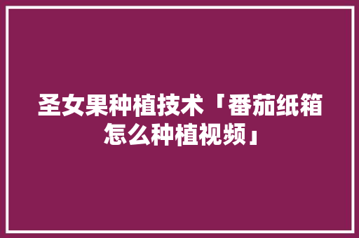 圣女果种植技术「番茄纸箱怎么种植视频」 圣女果种植技术「番茄纸箱怎么种植视频」 土壤施肥