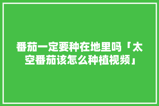 番茄一定要种在地里吗「太空番茄该怎么种植视频」 种植技巧 番茄一定要种在地里吗「太空番茄该怎么种植视频」 番茄一定要种在地里吗「太空番茄该怎么种植视频」 种植技巧
