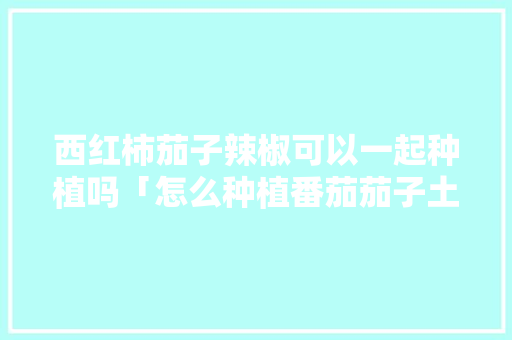 西红柿茄子辣椒可以一起种植吗「怎么种植番茄茄子土豆苗呢」 西红柿茄子辣椒可以一起种植吗「怎么种植番茄茄子土豆苗呢」 农业常识