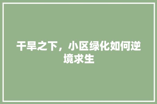 干旱之下，小区绿化如何逆境求生