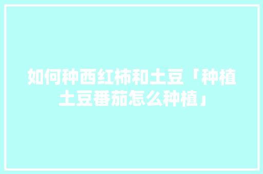 如何种西红柿和土豆「种植土豆番茄怎么种植」 如何种西红柿和土豆「种植土豆番茄怎么种植」 种植技巧
