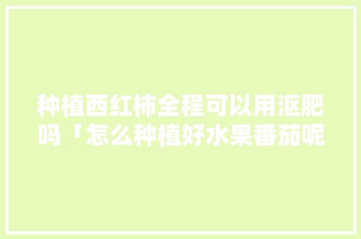 种植西红柿全程可以用沤肥吗「怎么种植好水果番茄呢」 种植西红柿全程可以用沤肥吗「怎么种植好水果番茄呢」 农业常识