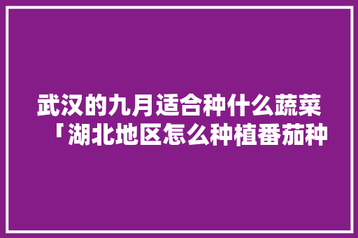 武汉的九月适合种什么蔬菜「湖北地区怎么种植番茄种子」