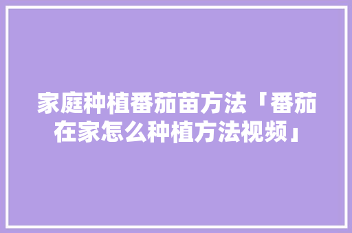 家庭种植番茄苗方法「番茄在家怎么种植方法视频」 家庭种植番茄苗方法「番茄在家怎么种植方法视频」 植物种类