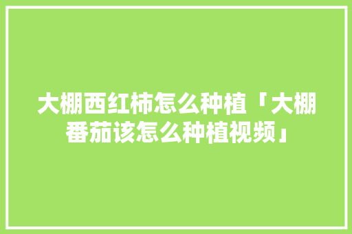 大棚西红柿怎么种植「大棚番茄该怎么种植视频」 植物种类 大棚西红柿怎么种植「大棚番茄该怎么种植视频」 大棚西红柿怎么种植「大棚番茄该怎么种植视频」 植物种类