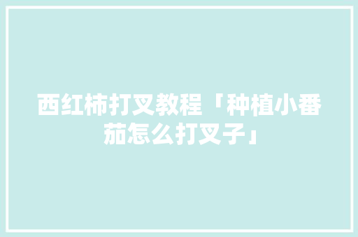 西红柿打叉教程「种植小番茄怎么打叉子」 西红柿打叉教程「种植小番茄怎么打叉子」 农业常识