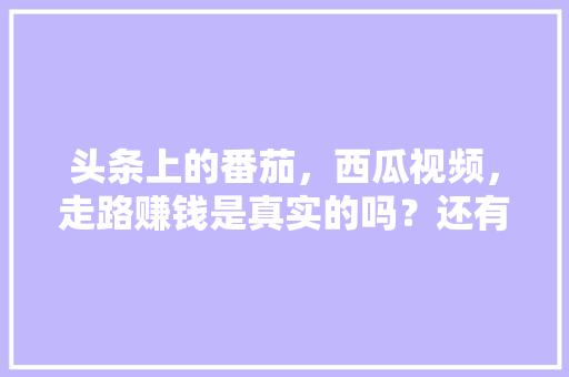 头条上的番茄，西瓜视频，走路赚钱是真实的吗？还有拼多多「簇生番茄怎么种植视频教程」