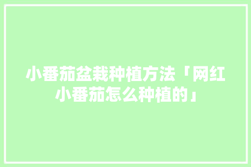 小番茄盆栽种植方法「网红小番茄怎么种植的」 小番茄盆栽种植方法「网红小番茄怎么种植的」 土壤施肥