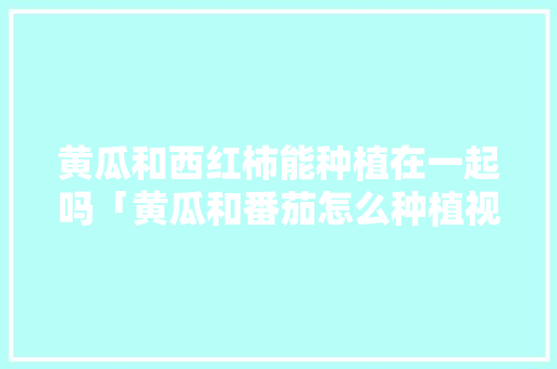 黄瓜和西红柿能种植在一起吗「黄瓜和番茄怎么种植视频」 黄瓜和西红柿能种植在一起吗「黄瓜和番茄怎么种植视频」 土壤施肥