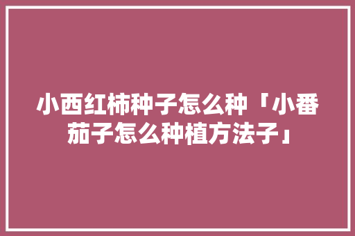 小西红柿种子怎么种「小番茄子怎么种植方法子」 小西红柿种子怎么种「小番茄子怎么种植方法子」 番茄种植技巧