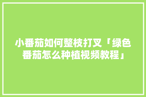 小番茄如何整枝打叉「绿色番茄怎么种植视频教程」 小番茄如何整枝打叉「绿色番茄怎么种植视频教程」 番茄种植技巧