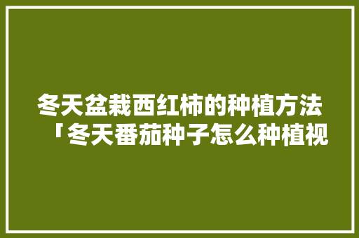冬天盆栽西红柿的种植方法「冬天番茄种子怎么种植视频」 冬天盆栽西红柿的种植方法「冬天番茄种子怎么种植视频」 种植技巧