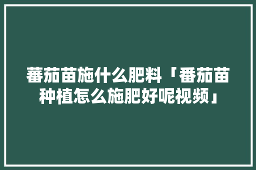 蕃茄苗施什么肥料「番茄苗种植怎么施肥好呢视频」 植物种类 蕃茄苗施什么肥料「番茄苗种植怎么施肥好呢视频」 蕃茄苗施什么肥料「番茄苗种植怎么施肥好呢视频」 植物种类