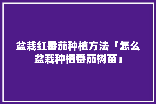 盆栽红番茄种植方法「怎么盆栽种植番茄树苗」 盆栽红番茄种植方法「怎么盆栽种植番茄树苗」 土壤施肥