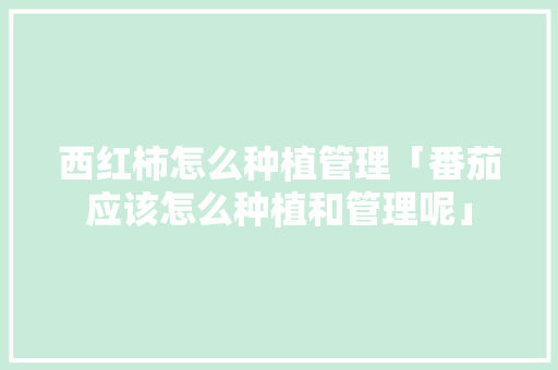 西红柿怎么种植管理「番茄应该怎么种植和管理呢」 西红柿怎么种植管理「番茄应该怎么种植和管理呢」 番茄种植技巧
