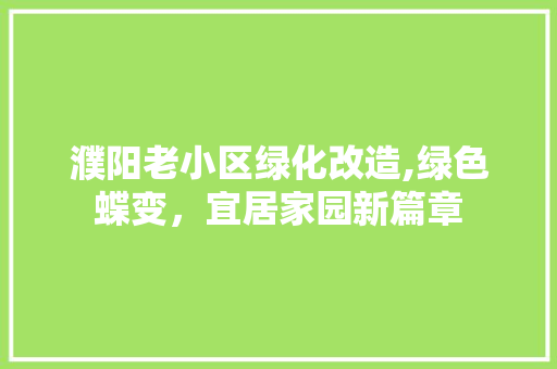 濮阳老小区绿化改造,绿色蝶变，宜居家园新篇章