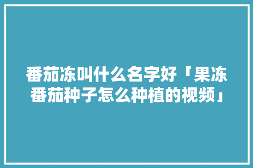 番茄冻叫什么名字好「果冻番茄种子怎么种植的视频」 番茄冻叫什么名字好「果冻番茄种子怎么种植的视频」 土壤施肥
