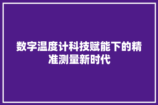 数字温度计科技赋能下的精准测量新时代