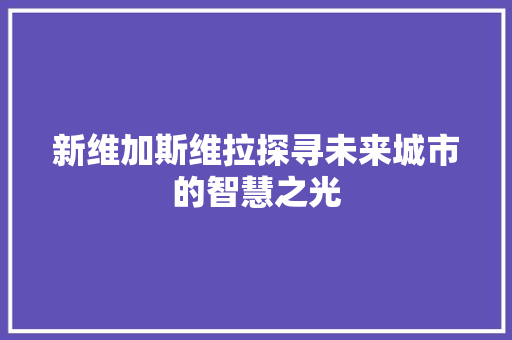 新维加斯维拉探寻未来城市的智慧之光