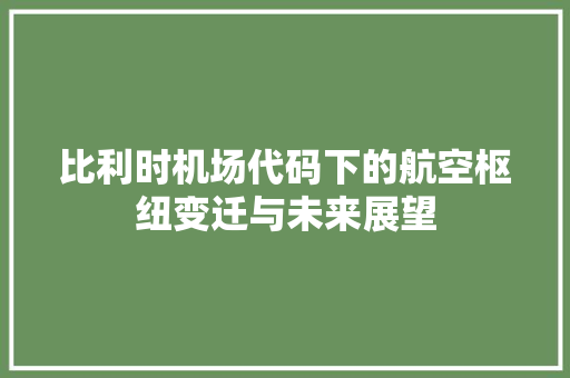 比利时机场代码下的航空枢纽变迁与未来展望