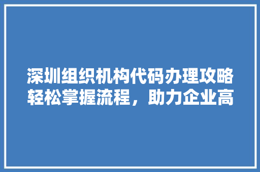 深圳组织机构代码办理攻略轻松掌握流程，助力企业高效运营