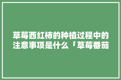 草莓西红柿的种植过程中的注意事项是什么「草莓番茄怎么种植视频教程」 草莓西红柿的种植过程中的注意事项是什么「草莓番茄怎么种植视频教程」 种植技巧