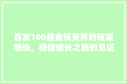 百发100基金投资界的璀璨明珠，稳健增长之路的见证者