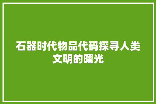 石器时代物品代码探寻人类文明的曙光