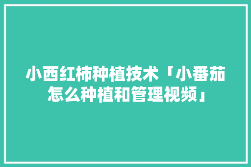 小西红柿种植技术「小番茄怎么种植和管理视频」 小西红柿种植技术「小番茄怎么种植和管理视频」 花朵知识