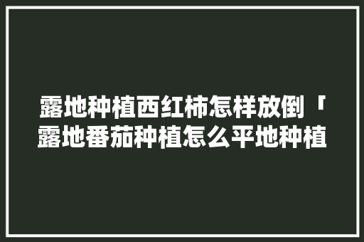露地种植西红柿怎样放倒「露地番茄种植怎么平地种植」 露地种植西红柿怎样放倒「露地番茄种植怎么平地种植」 花朵知识