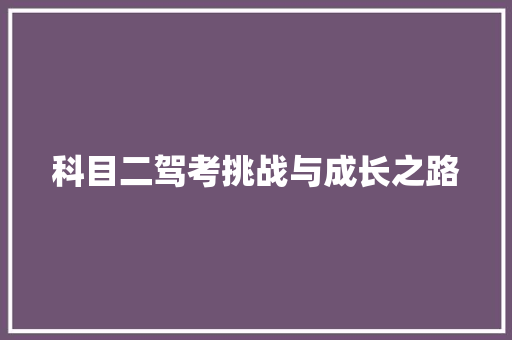 科目二驾考挑战与成长之路