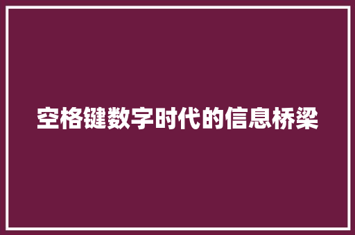 空格键数字时代的信息桥梁