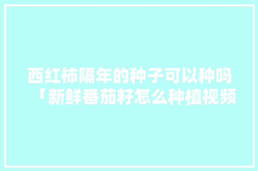 西红柿隔年的种子可以种吗「新鲜番茄籽怎么种植视频教程」 西红柿隔年的种子可以种吗「新鲜番茄籽怎么种植视频教程」 土壤施肥