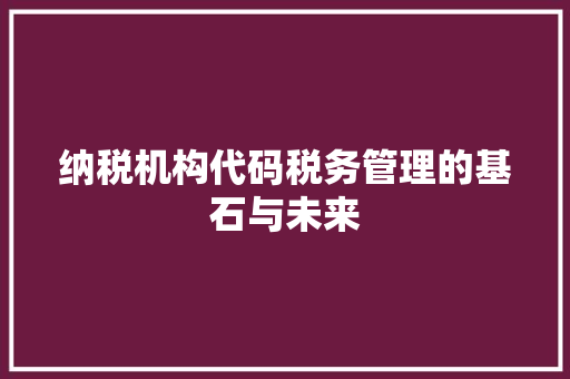 纳税机构代码税务管理的基石与未来