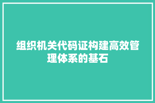 组织机关代码证构建高效管理体系的基石