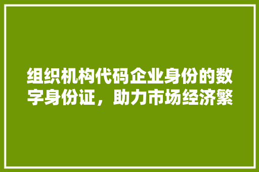 组织机构代码企业身份的数字身份证，助力市场经济繁荣发展