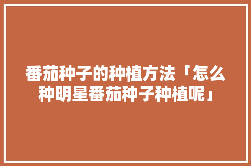 番茄种子的种植方法「怎么种明星番茄种子种植呢」 番茄种子的种植方法「怎么种明星番茄种子种植呢」 花朵知识
