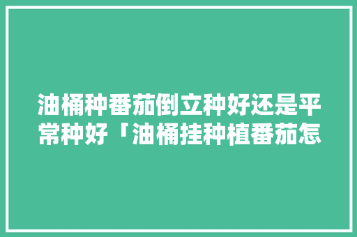 油桶种番茄倒立种好还是平常种好「油桶挂种植番茄怎么挂的」 油桶种番茄倒立种好还是平常种好「油桶挂种植番茄怎么挂的」 土壤施肥