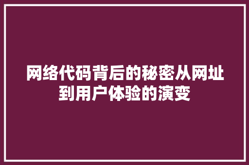 网络代码背后的秘密从网址到用户体验的演变