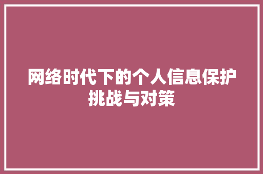 网络时代下的个人信息保护挑战与对策