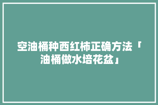 空油桶种西红柿正确方法「油桶做水培花盆」 空油桶种西红柿正确方法「油桶做水培花盆」 番茄病虫害防治