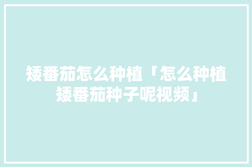 矮番茄怎么种植「怎么种植矮番茄种子呢视频」 矮番茄怎么种植「怎么种植矮番茄种子呢视频」 番茄病虫害防治