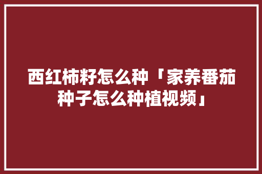 西红柿籽怎么种「家养番茄种子怎么种植视频」 西红柿籽怎么种「家养番茄种子怎么种植视频」 番茄病虫害防治