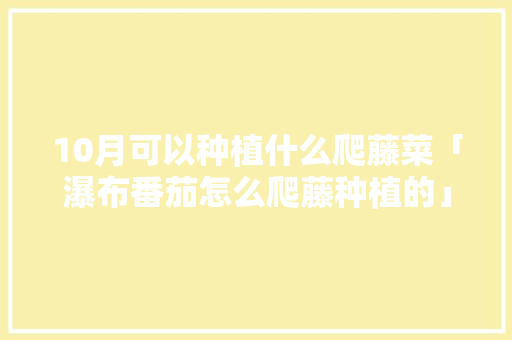 10月可以种植什么爬藤菜「瀑布番茄怎么爬藤种植的」 10月可以种植什么爬藤菜「瀑布番茄怎么爬藤种植的」 番茄种植技巧