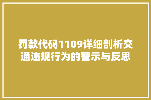 罚款代码1109详细剖析交通违规行为的警示与反思