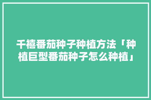 千禧番茄种子种植方法「种植巨型番茄种子怎么种植」 千禧番茄种子种植方法「种植巨型番茄种子怎么种植」 花朵知识